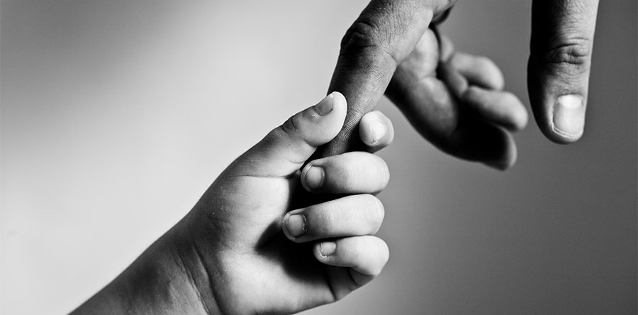 Sed blandit massa vel